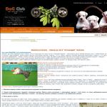 Dog-club — Фрисби (пчелка) — ловля на лету