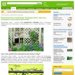 Вертикальное озеленение садовых арок, пергол и шпалер